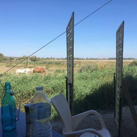 Apartamento En camargue Salin-de-Giraud Exterior foto