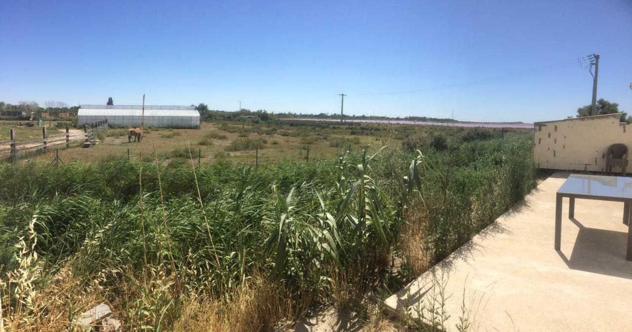 Apartamento En camargue Salin-de-Giraud Exterior foto